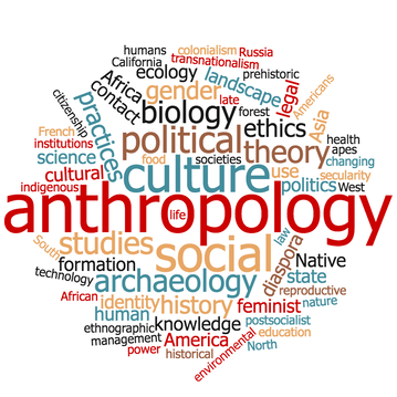 Anthropology Subfields